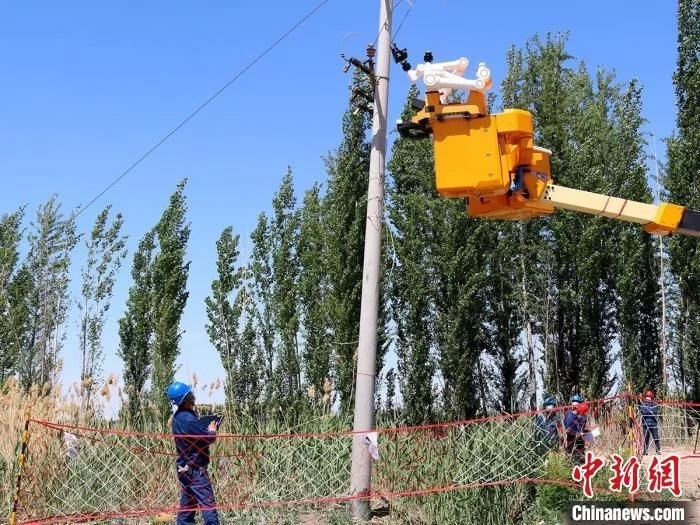 1664155342596994.jpg t011dce37dc321fd6f6.webp.jpg